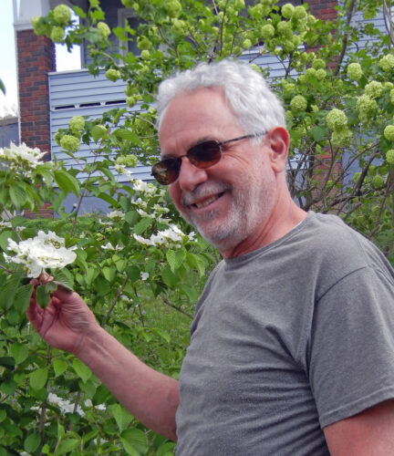 THE PLANTSMAN